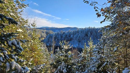 a view of a forest with snow covered trees at "Casa Antonio" 3 Gehminuten Strandbad Sekirn, inkl Seezugang in Sekirn