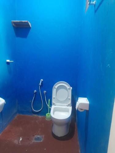 a blue bathroom with a toilet in a blue wall at Ushongo Econostay in Wanga
