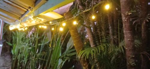 Casa Osa Bella de Arteにある庭