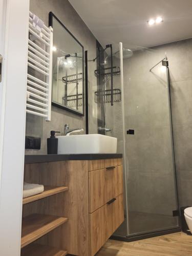 Ένα μπάνιο στο Komfortowy apartament dla 7 osób CH Arena, prywatny parking