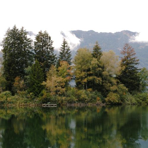 a bench sitting on the shore of a lake at Boutique Hotel Casa Giovanoli in Tomils