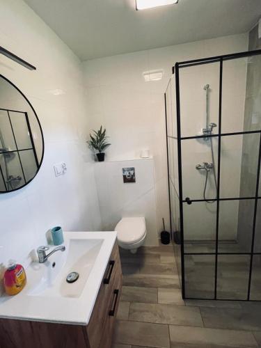 a bathroom with a toilet and a sink and a shower at Domki Wieleń in Wielen Zaobrzanski