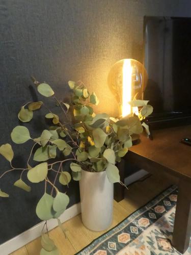 a plant in a white vase next to a lamp at ZenAbode303 羽田空港電車8分 都心エリア電車12分 in Tokyo