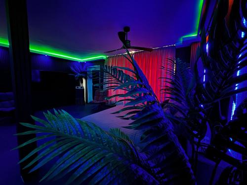 a room with purple and green lights and a plant at Spartementen by Pure-Zen in Rotterdam