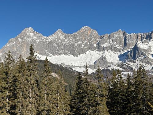 a mountain range with trees and snow covered mountains at Haus Sonnleitner Studio Rittisberg in Ramsau am Dachstein