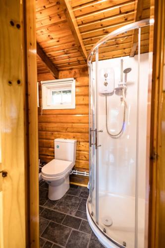 a bathroom with a toilet and a glass shower at Thistledonia in Trawsfynydd