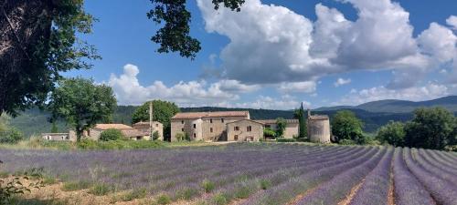 Le Cosy Luberon - Gite provençal avec piscine