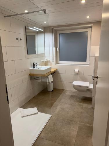 a bathroom with a sink and a toilet and a mirror at Luther20 in Insheim