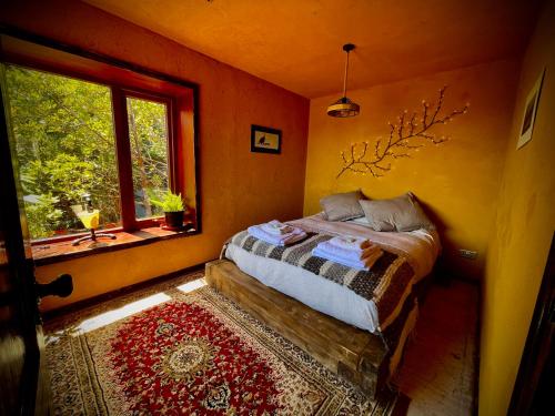 アンクードにあるCozzy Cabin at "Explore-Cafe & Lodge" Located in Duhatao, Chiloe Island, Patagonia, Chileのベッドと窓のある寝室