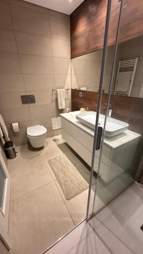 a bathroom with a toilet and a sink and a mirror at River View apartment in Chaves