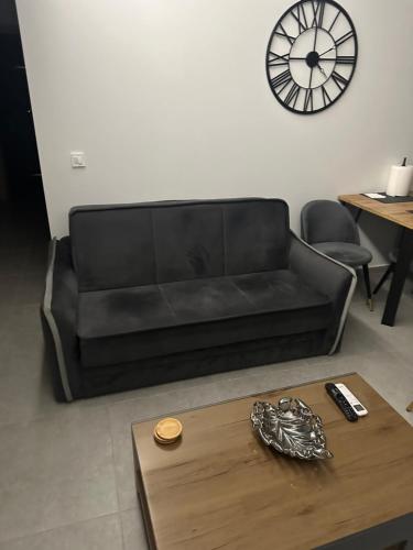 Elaion guest house