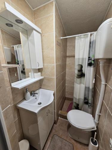 a bathroom with a toilet and a sink and a shower at Lugonja studio in Sremski Karlovci