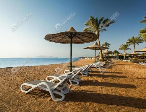 Fotografie z fotogalerie ubytování SS-2335 one bedroom Aurora Resort v destinaci Sharm El Sheikh