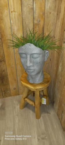 a vase with a plant in it sitting on a table at Le Relais de Chassepierre in Chassepierre