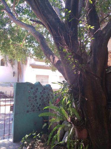 Ảnh trong thư viện ảnh của Casa de botellas ở Buenos Aires