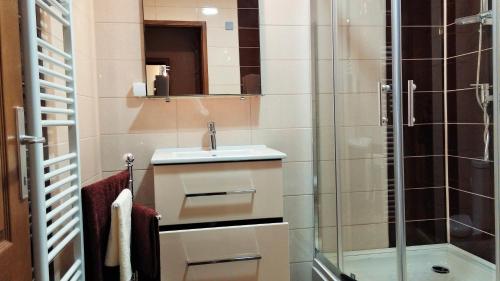 a bathroom with a sink and a shower at Pansion River in Sarajevo