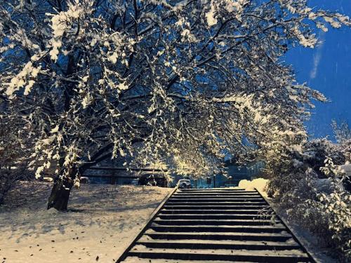 a set of stairs in the snow next to a tree at Terme Apartment Levico in Levico Terme