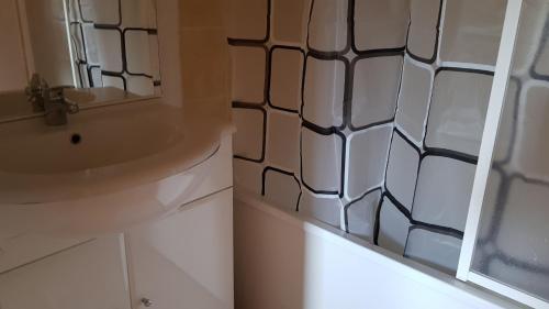 une salle de bain avec un lavabo et un miroir dans l'établissement Vos vacances à Saint François Longchamp, à Saint-François-Longchamp