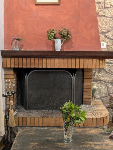 a fireplace with two potted plants on top of it at Diminio 3 Whole House - Chalet in Arachova