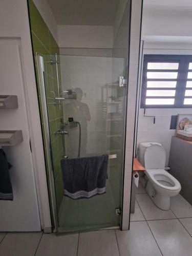 y baño con ducha y toalla azul. en La Terrasse de Ugo, en Saint-Pierre