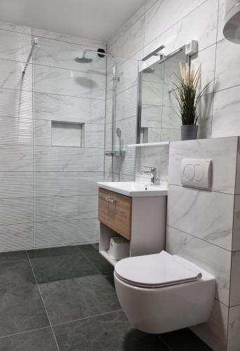 a bathroom with a toilet and a sink and a shower at Apartma Termal Čatež - nastanitev z vključenimi 6-imi kopalnimi kartami - 6 tickets included in Čatež ob Savi