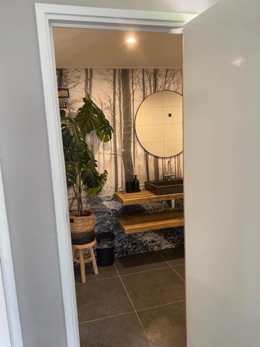 a hallway with a mirror and a potted plant at 't Schouws Uusje in Burgh Haamstede
