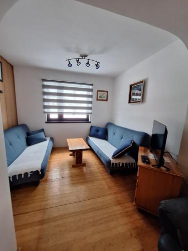 Ruang duduk di Apartmani MECAVA
