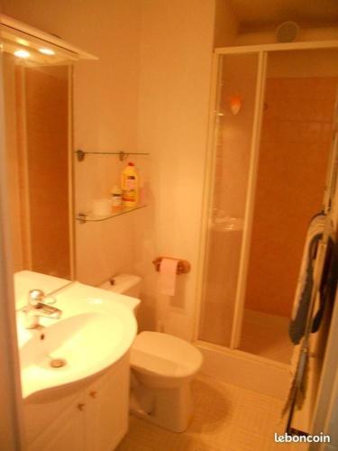 une salle de bain avec toilettes, lavabo et douche dans l'établissement Petit nid au Pic du Midi, à Bagnères-de-Bigorre