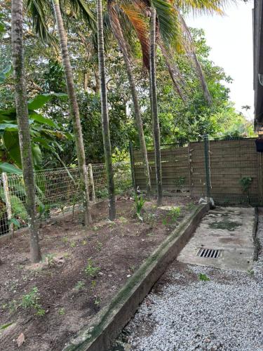 a garden with palm trees and a fence at Hostel Toucan Coliving Les rives du mahury in Dégrad des Cannes
