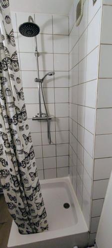 une salle de bain avec une douche avec un rideau de douche dans l'établissement Charme et confort dans le centre-ville de Falaise, à Falaise