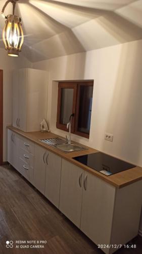 a kitchen with a sink and a counter top at Casa Livada Bunicii in Târgu Ocna