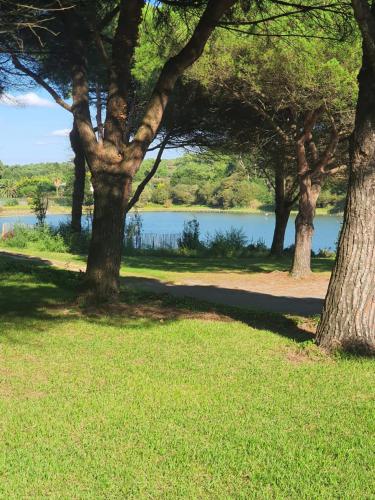 un parc avec des arbres et un lac en arrière-plan dans l'établissement Studio Golf&Plage Chiberta, à Anglet
