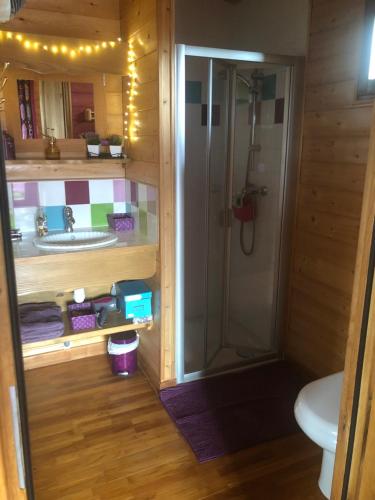 une salle de bain avec douche et lavabo dans l'établissement Rosalie, à Fiquefleur-Équainville