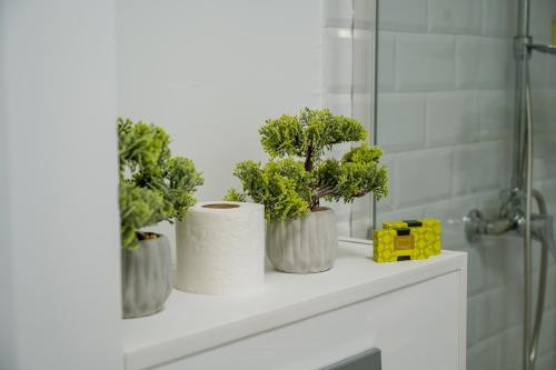 a bathroom counter with three toilets with trees in them at Nova Studio Apartments in Reghin