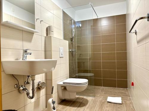 ゴレンスカ地方にあるPenzion Golcarのトイレと洗面台付きのバスルーム