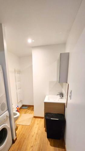 une salle de bain avec un lavabo et une machine à laver dans l'établissement Le refuge d'Albi - Charmant T3 lumineux et tout équipé, à Albi