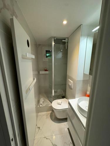 une salle de bain avec toilettes, douche et lavabo dans l'établissement Charmant appart Montmartre, à Paris