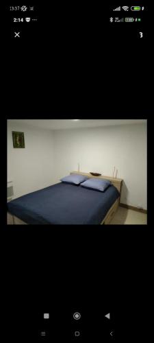 belle vue au coeur de la verdure