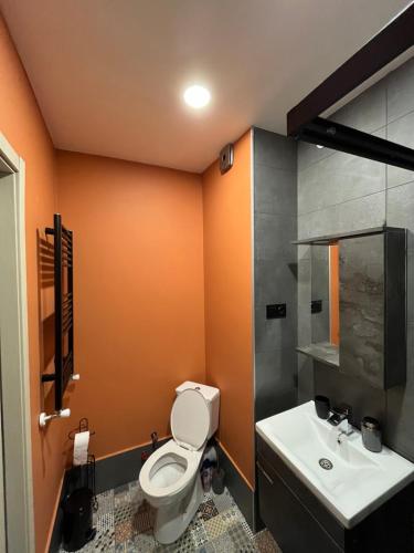 un baño con inodoro y lavabo en Cozy apartment in NEW GUDAURI Block F2, en Gudauri