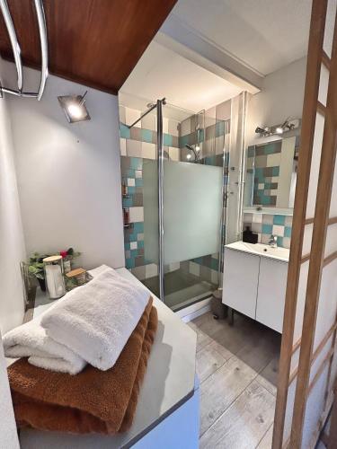 une salle de bain avec une douche, un lit et un lavabo dans l'établissement Appartement 