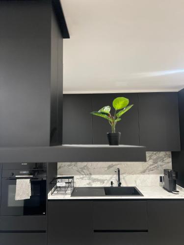 a kitchen with a sink and a potted plant at Ático playa Palmás in Moaña