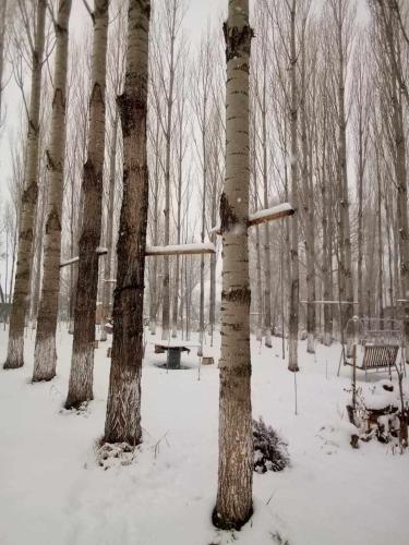a snow covered park with trees and a bench at Zovaber hangsti goti in Sevan