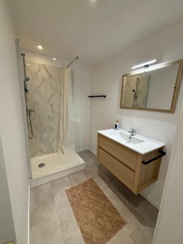 une salle de bain avec un lavabo et une douche avec un miroir dans l'établissement Le 23B, à Marseille