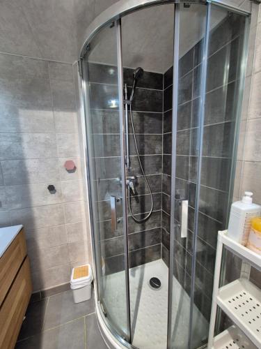 une douche avec une porte vitrée dans une salle de bain dans l'établissement Le Mallet #Jardin#Central, à Clermont-Ferrand