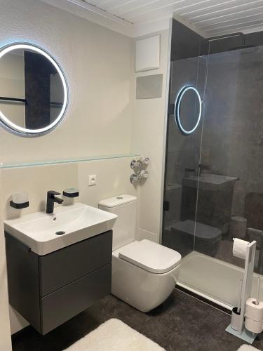 a bathroom with a toilet and a sink and a shower at Stylische Ferienwohnung Casagrande mit Vollausstattung in Zwiesel