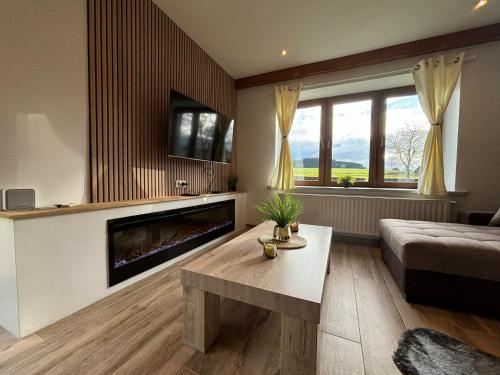 a living room with a fireplace and a couch at Villa De Miguel in Paliseul