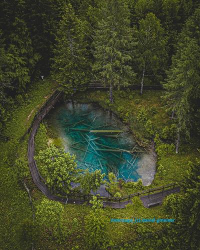 an aerial view of a pool of water in a forest at Ferienwohnungen Gabriel in Keutschach am See