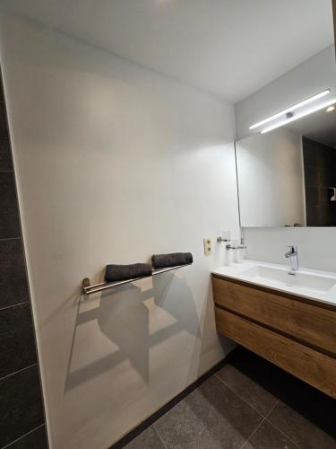 a bathroom with a sink and a mirror at Villa De Miguel in Paliseul
