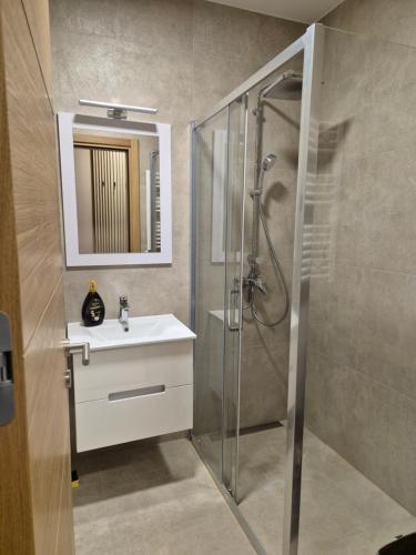 a bathroom with a sink and a shower at Sajam 2 in Novi Sad