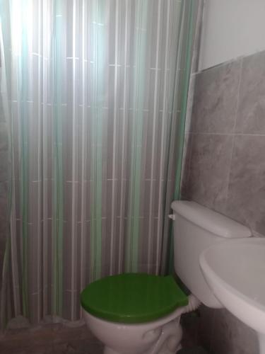 a bathroom with a green toilet and a sink at Ipay Alojamiento Familiar in Purmamarca